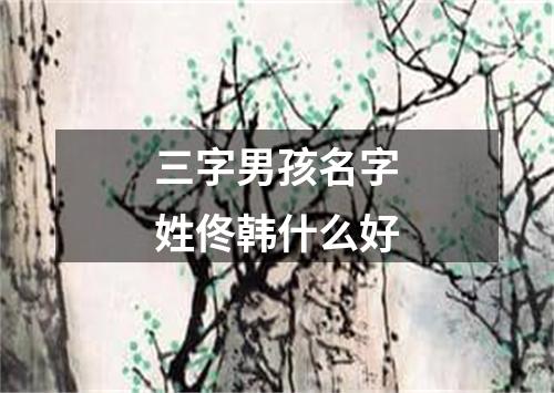 三字男孩名字姓佟韩什么好