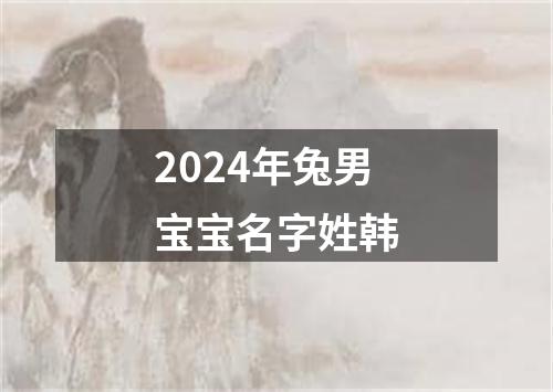 2024年兔男宝宝名字姓韩