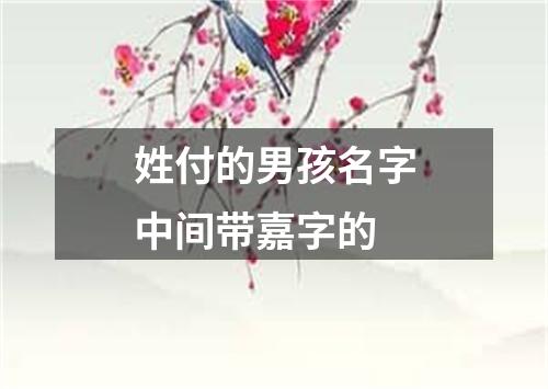 姓付的男孩名字中间带嘉字的