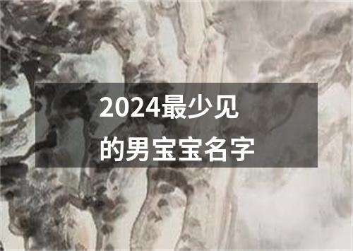 2024最少见的男宝宝名字