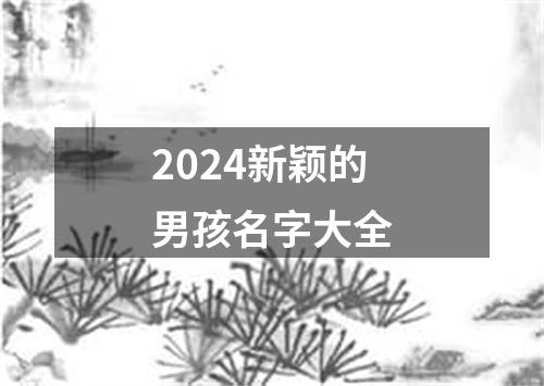 2024新颖的男孩名字大全