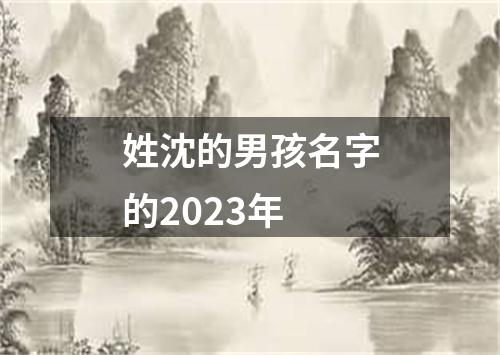 姓沈的男孩名字的2023年