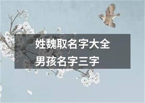 姓魏取名字大全男孩名字三字