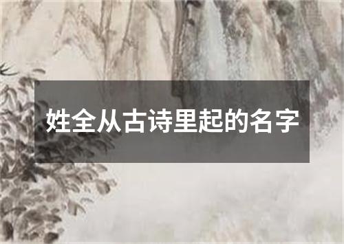姓全从古诗里起的名字