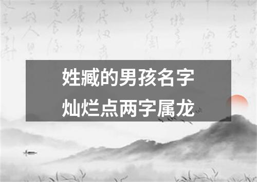 姓臧的男孩名字灿烂点两字属龙