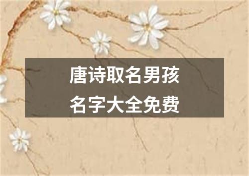 唐诗取名男孩名字大全免费