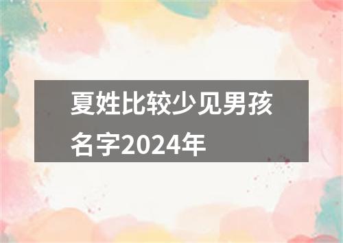 夏姓比较少见男孩名字2024年