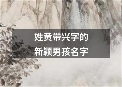 姓黄带兴字的新颖男孩名字