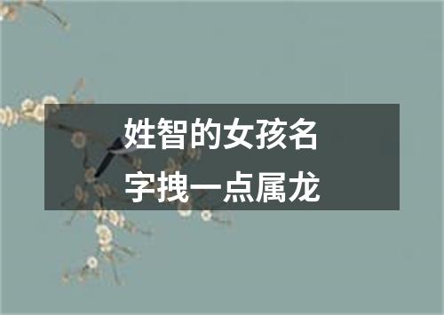 姓智的女孩名字拽一点属龙