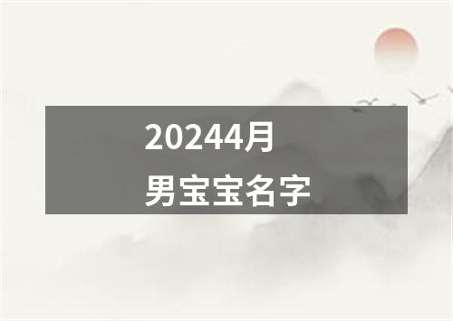 20244月男宝宝名字