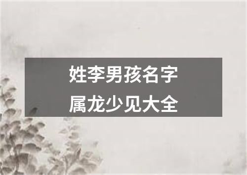 姓李男孩名字属龙少见大全