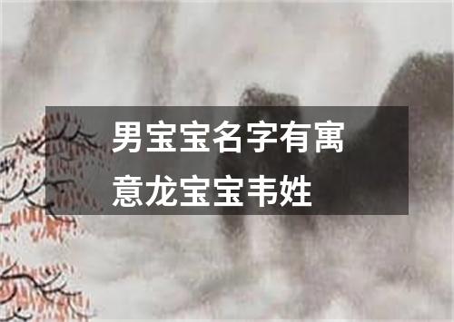 男宝宝名字有寓意龙宝宝韦姓