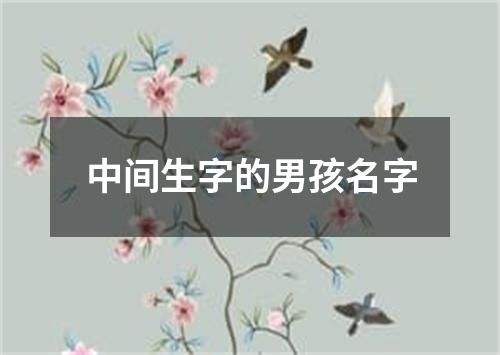 中间生字的男孩名字