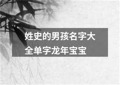姓史的男孩名字大全单字龙年宝宝