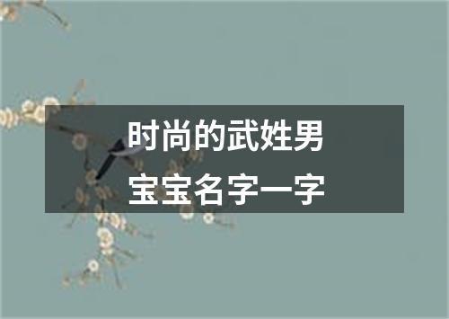 时尚的武姓男宝宝名字一字