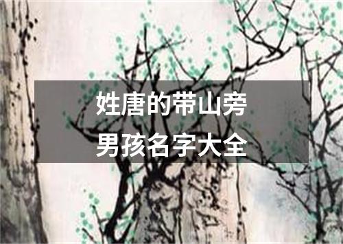 姓唐的带山旁男孩名字大全