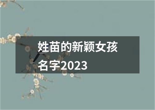 姓苗的新颖女孩名字2023