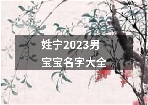 姓宁2023男宝宝名字大全