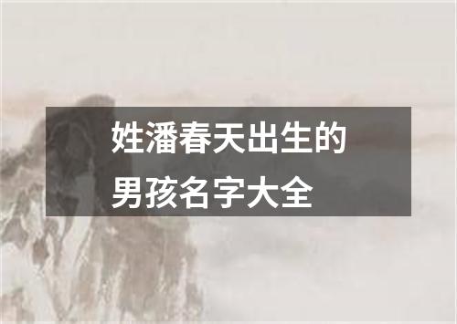 姓潘春天出生的男孩名字大全