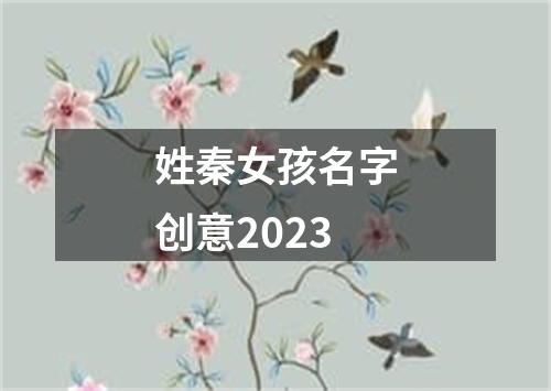 姓秦女孩名字创意2023