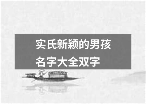 实氏新颖的男孩名字大全双字