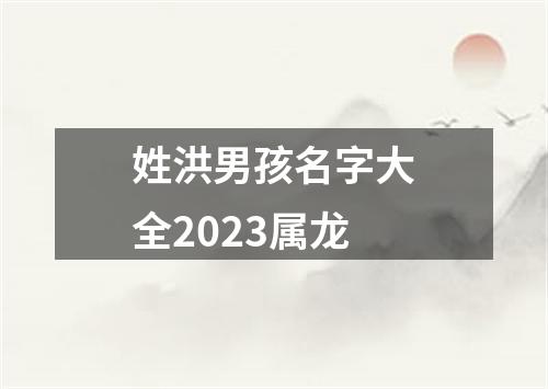 姓洪男孩名字大全2023属龙