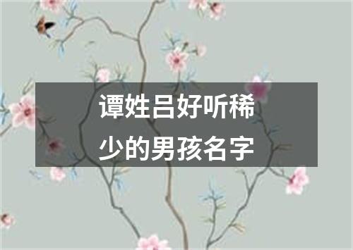 谭姓吕好听稀少的男孩名字