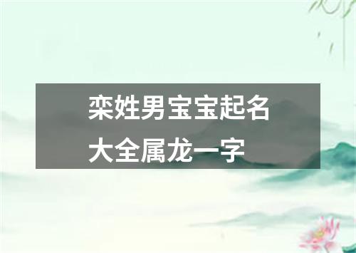 栾姓男宝宝起名大全属龙一字