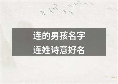 连的男孩名字连姓诗意好名