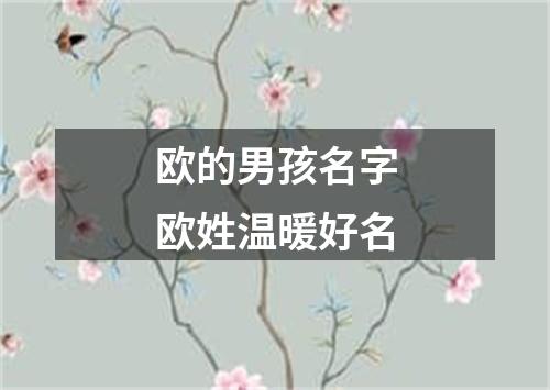 欧的男孩名字欧姓温暖好名