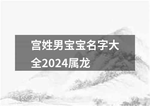宫姓男宝宝名字大全2024属龙