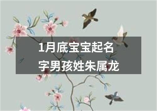 1月底宝宝起名字男孩姓朱属龙