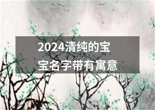 2024清纯的宝宝名字带有寓意