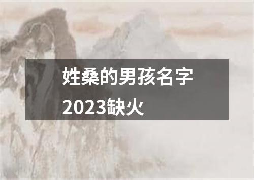 姓桑的男孩名字2023缺火