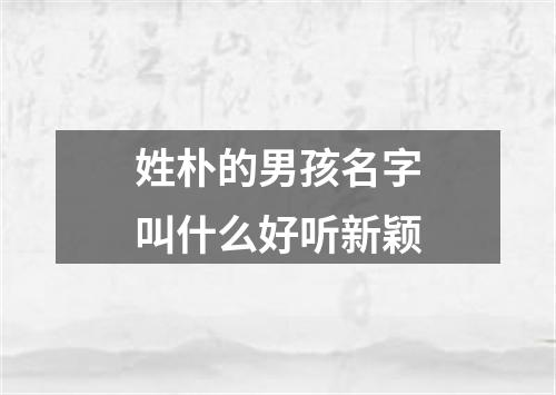 姓朴的男孩名字叫什么好听新颖