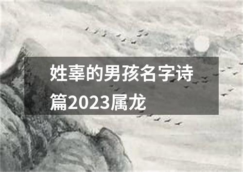 姓辜的男孩名字诗篇2023属龙