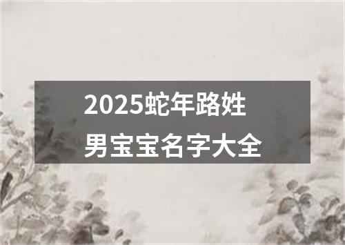 2025蛇年路姓男宝宝名字大全