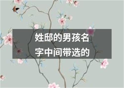 姓邸的男孩名字中间带选的