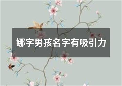 娜字男孩名字有吸引力