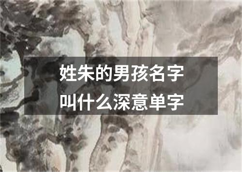 姓朱的男孩名字叫什么深意单字