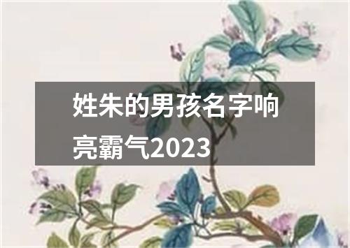 姓朱的男孩名字响亮霸气2023