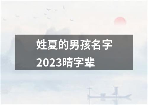姓夏的男孩名字2023晴字辈