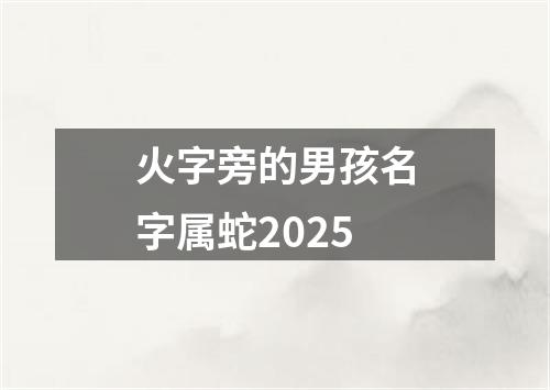 火字旁的男孩名字属蛇2025