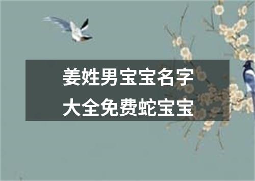 姜姓男宝宝名字大全免费蛇宝宝