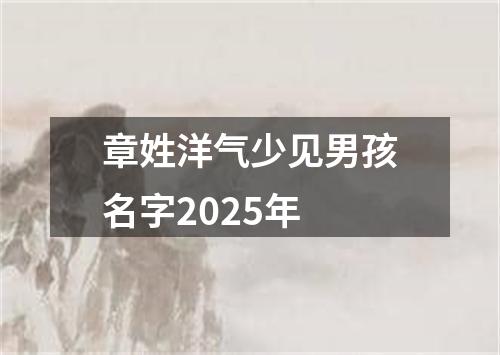 章姓洋气少见男孩名字2025年