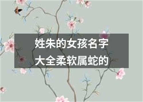姓朱的女孩名字大全柔软属蛇的