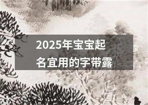 2025年宝宝起名宜用的字带露