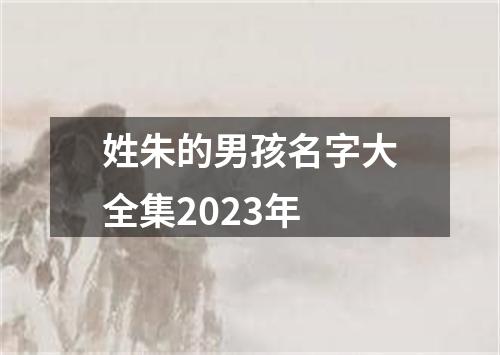 姓朱的男孩名字大全集2023年