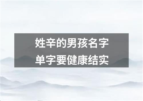 姓辛的男孩名字单字要健康结实