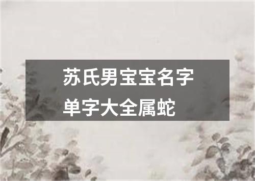 苏氏男宝宝名字单字大全属蛇